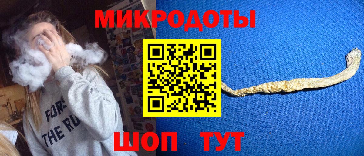 Волгодонск  Псилоцибиновые грибы Psilocybine cubensis  закладки  Вход с VPN 