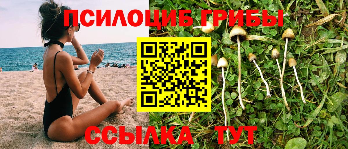 Псилоцибиновые грибы Cubensis Волгодонск